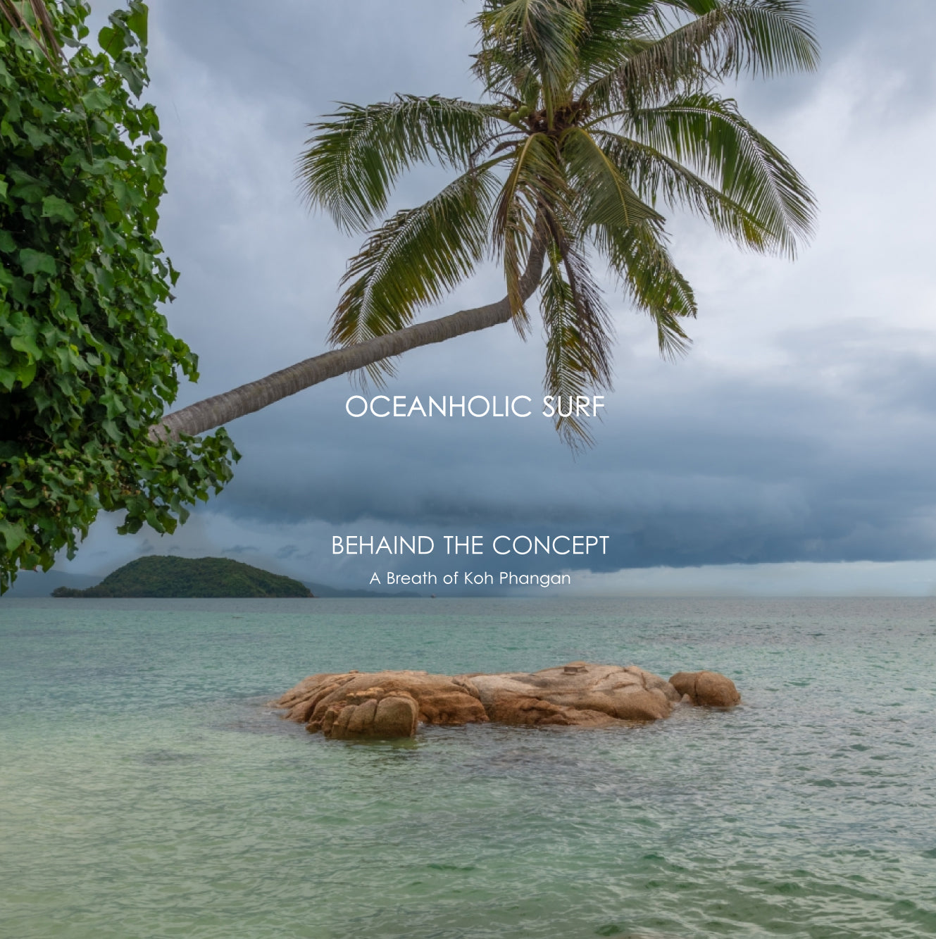 OCEANHOLIC BEHIND THE CONCEPT